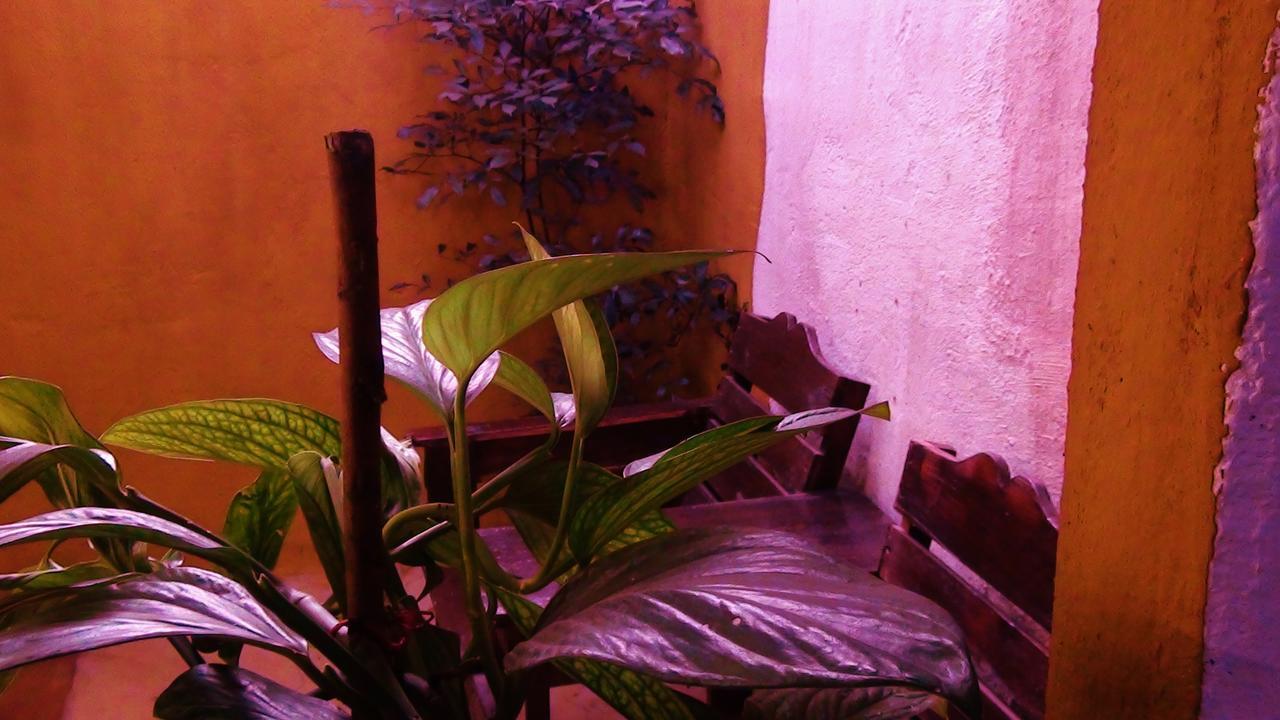 Hotel La Tora Managua Habitación foto