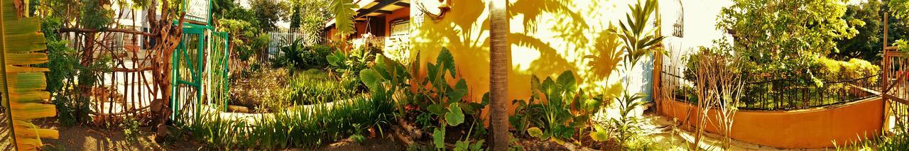 Hotel La Tora Managua Exterior foto