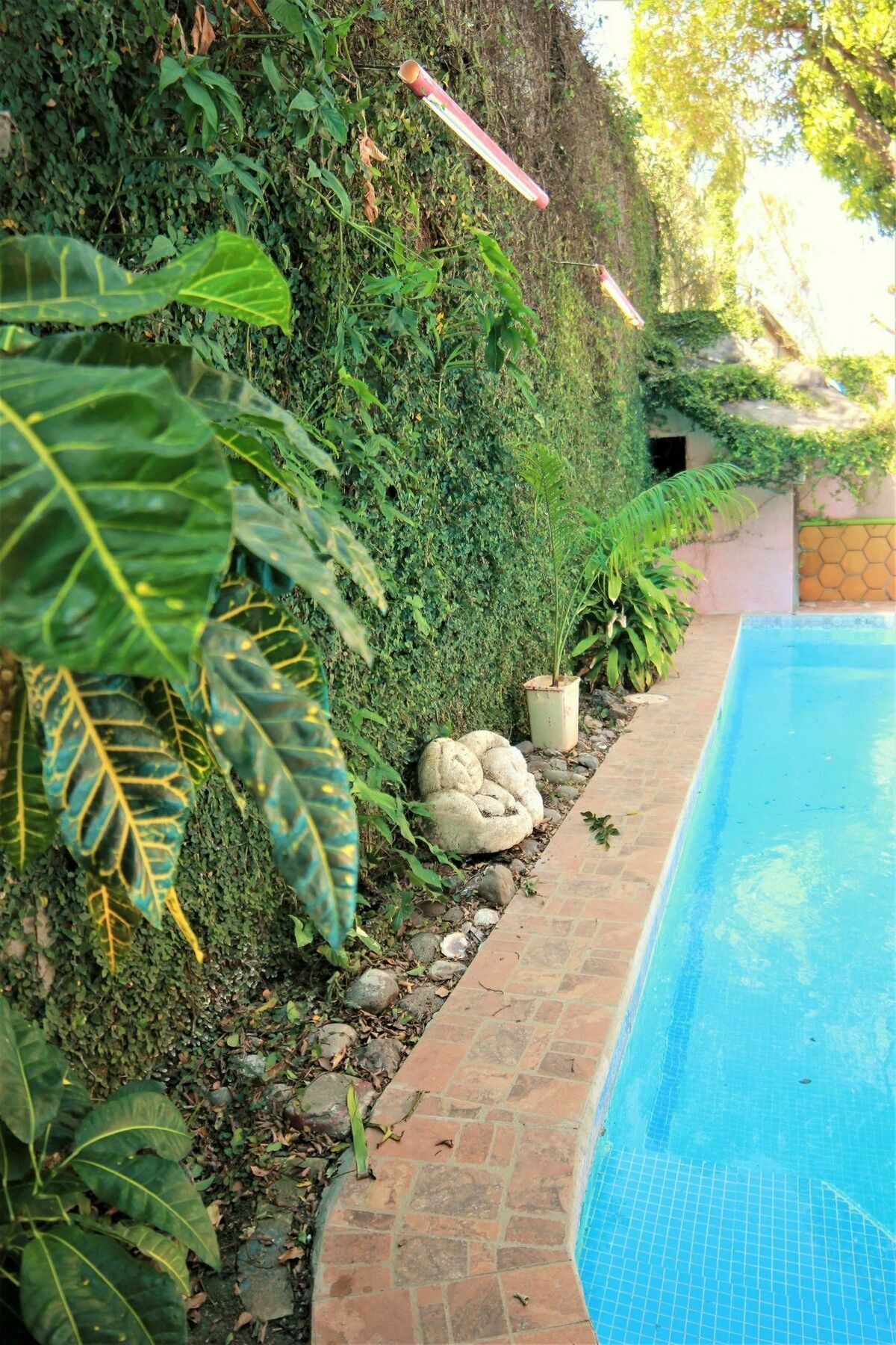 Hotel La Tora Managua Exterior foto